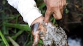 About 150 tourists are reportedly being held hostage in Peru. Locals are demanding a response to oil spills that have polluted their river.