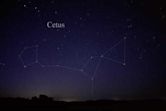 Cetus