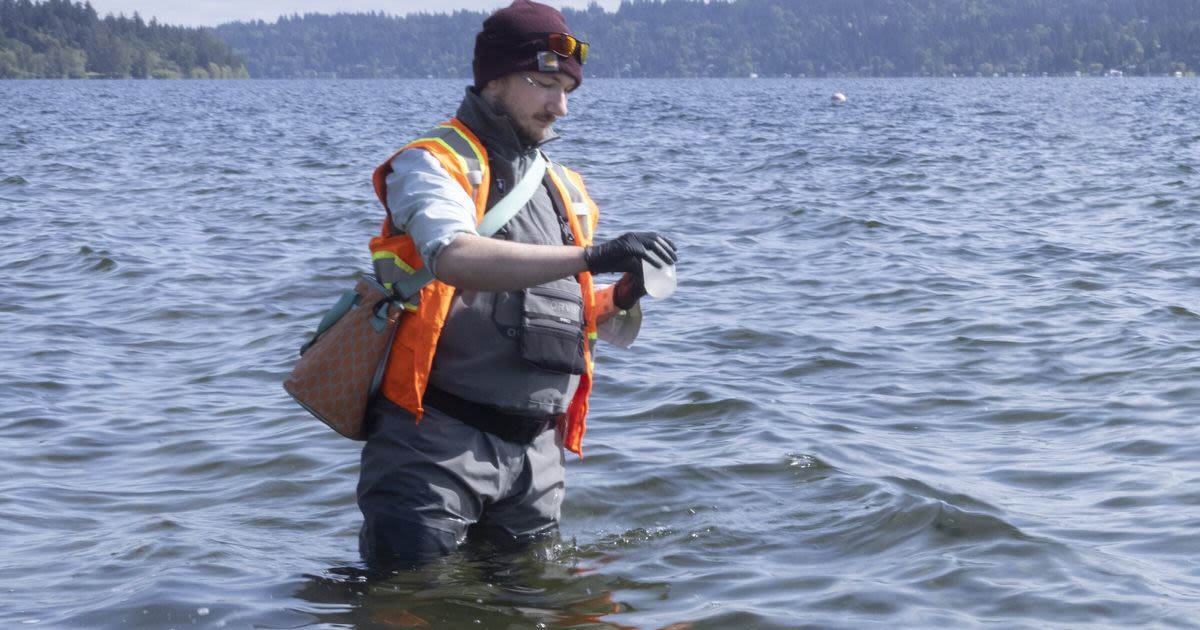 Will climate change cause more WA beach closures because of algae or bacteria?