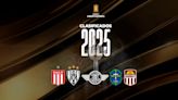 Los cinco equipos que ya están clasificados para la Copa Libertadores 2025