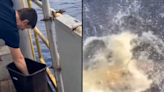 People terrified after seeing ‘what nightmares are made of’ when man threw meat off boat into the sea