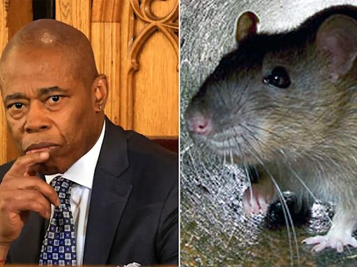 NYC Mayor Eric Adams announces Urban Rat Summit to combat rodent crisis: 'I hate rats'