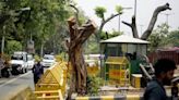 BJP Vs AAP Over Felling Of Over 1000 Trees In ‘Eco-sensitive Zone