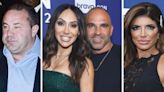 Joe Giudice Isn't Surprised Melissa and Joe Gorga Skipped Teresa's Wedding