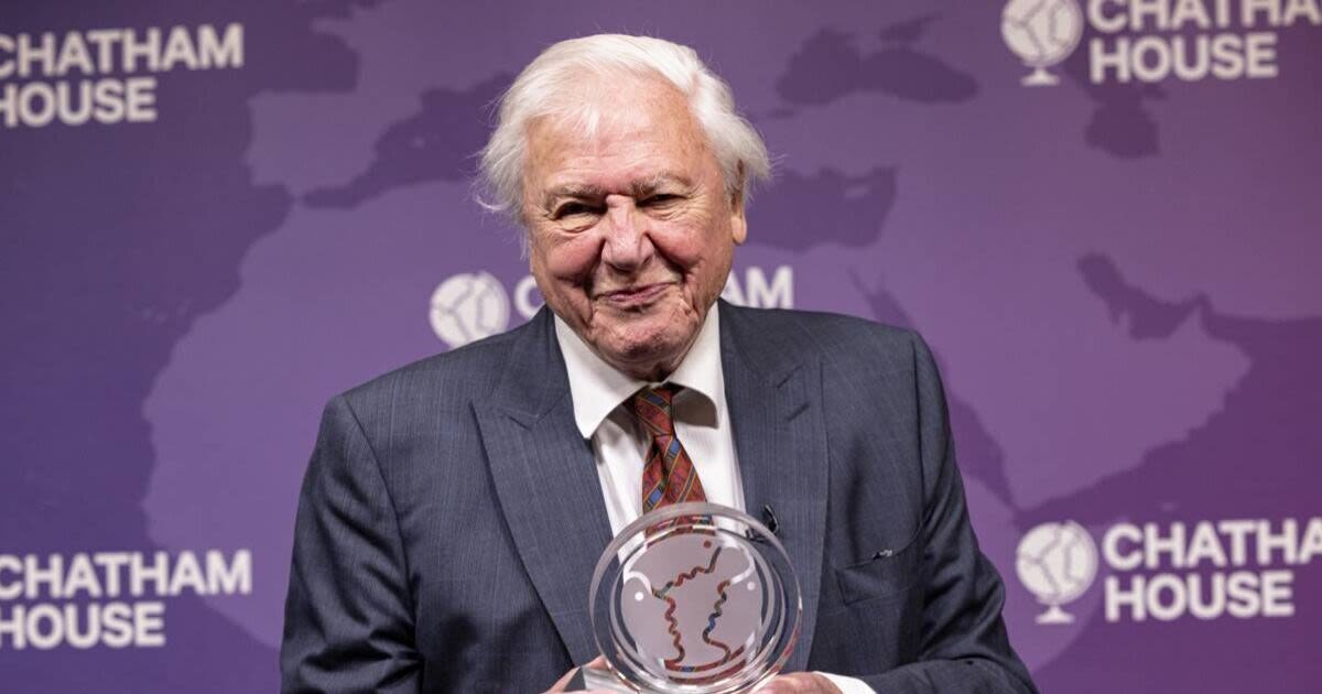 Sir David Attenborough confirms new ocean documentary