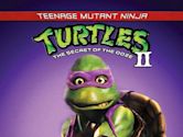 Teenage Mutant Ninja Turtles II: The Secret of the Ooze