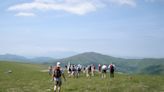 Conservancy guiding six Roan Highlands hikes June 15
