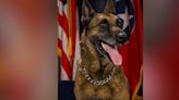 Brentwood police mourn loss of longtime narcotics detection K9