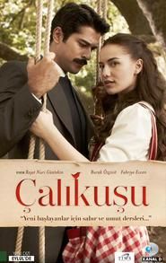 Çalıkuşu