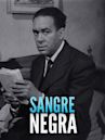 Sangre negra