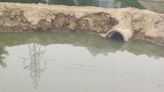 Ghaziabad: UP pollution control board seeks report on discharge of sewage in pond