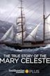 The True Story of the Mary Celeste