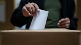 Primarias 2024: ocho preguntas claves para entender el proceso electoral antes de acudir a las urnas