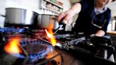 El Gobierno de Milei habilitó los cortes de gas a industrias para asegurar el servicio en hogares