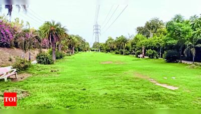 NGT orders Ludhiana Municipal Corporation to remove constructions on green belt | Ludhiana News - Times of India