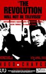 The Revolution Will Not Be Televised (film)