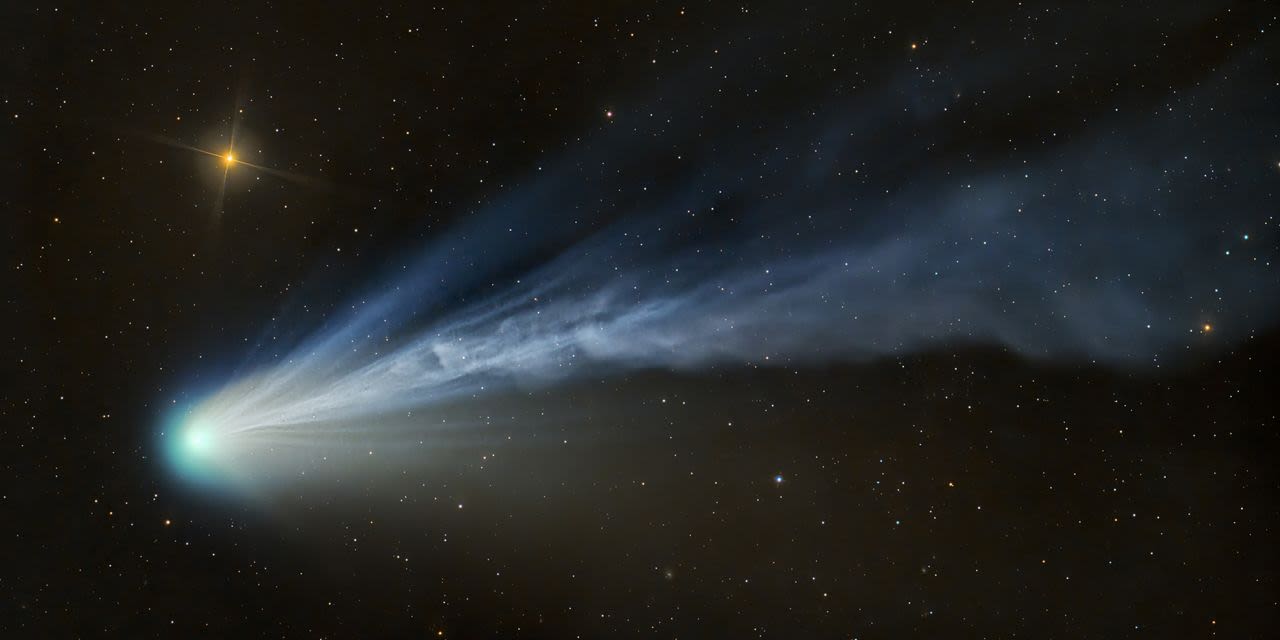 See the Devil Comet While It Lasts