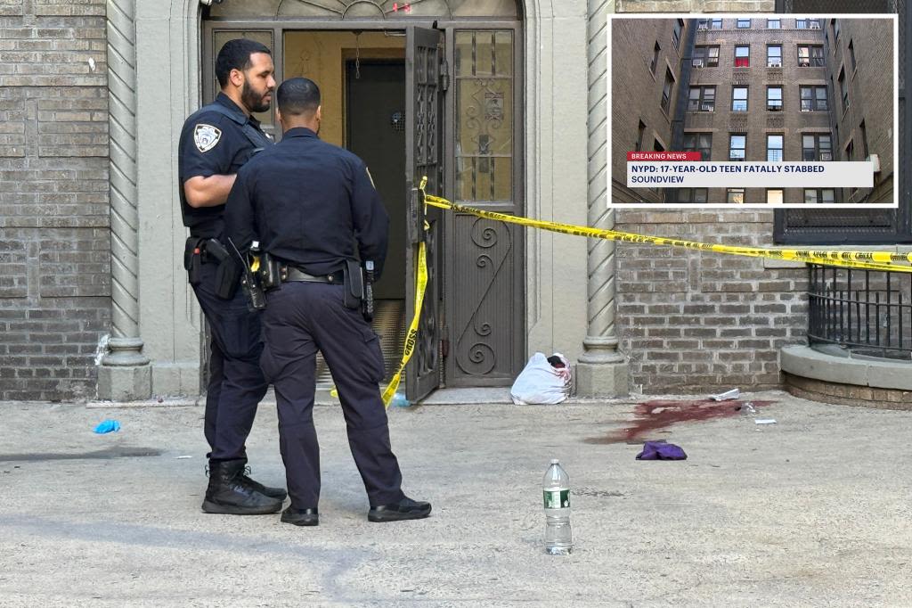 17-year-old girl stabbed to death outside NYC apartment building in broad daylight: cops