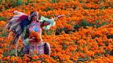 Marigolds, or cempazúchitl, adorn Día de los Muertos altars: How Salinas is celebrating