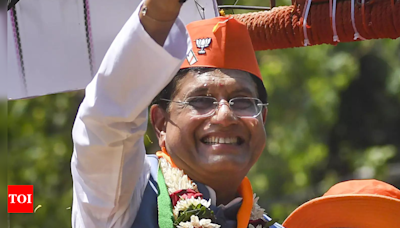 In Mumbai North, Piyush Goyal challenges 'outsider' tag against 'bhoomi putra' Bhushan Patil | India News - Times of India