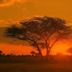 Matobo National Park