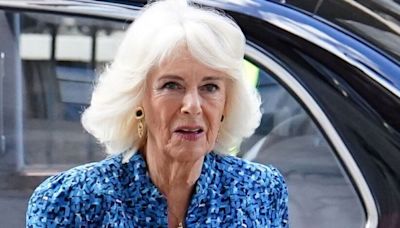 Camilla's 'secret outing' with five rarely seen grandkids