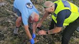 'Human hand' found on beach sparks police response - but all is not as it seems