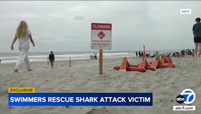 Swimmers describe terrifying moments they rescued shark attack victim near San Diego