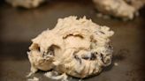 Raw cookie dough from pizza chain linked to salmonella outbreak. Cases reported in Idaho