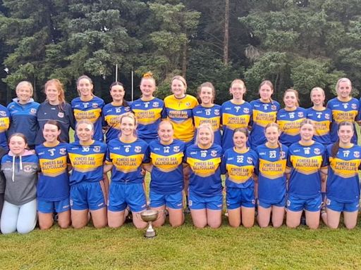 Gusserane net magnificent seven as they shake off Bunclody in high scoring Division 3 final