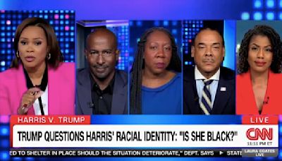 CNN Host Laura Coates Erupts at Pro-Trump Guest on Panel Talking Race