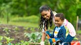 Don't Plant These 8 Vegetables in Containers