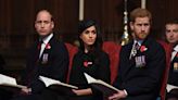 Harry and Meghan warned to heed Prince William's words as Netflix show prepares to drop