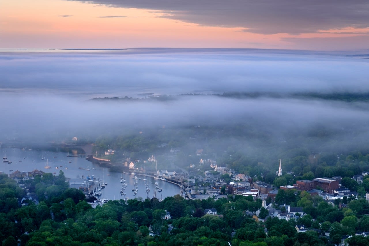 Poisoned trees gave a wealthy couple in Maine a killer ocean view. Residents wonder, at what cost?