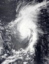 2023 Pacific typhoon season