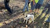 Dog Saved After Falling Down Mineshaft In North Carolina