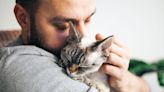 Are Male Cats More Affectionate? It Depends!