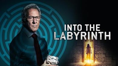 L'Homme du labyrinthe