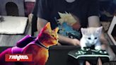 Refugios de animales realizan streams de juego del gato Stray para salvar la vida de sus gatitos rescatados