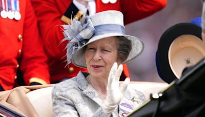 What happened to Princess Anne during 'horse riding' accident