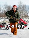 Stolen (2024 film)