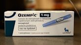 5 weight-loss drug stocks to watch as Ozempic, Zepbound sales surge