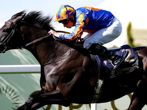 Ascot: Freddy Tylicki's horse-by-horse guide to King George VI