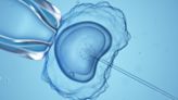 Sperm donors ‘should be barred’ from fathering hundreds of children around the world
