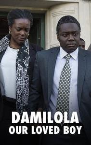 Damilola, Our Loved Boy