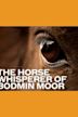 The Horse Whisperer of Bodmin Moor