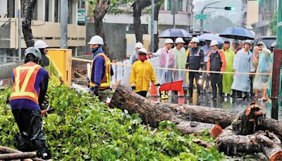 【凱米災情破紀錄1】1.5萬件災情通報破10年紀錄 路樹、鐵皮成風災成隱形炸彈