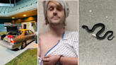 Half-naked Florida man intentionally crashes into jailhouse, throws rubber snakes