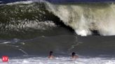 Texas: How did shark come to South Padre Island beach and bite three men enjoying Independence Day? - The Economic Times