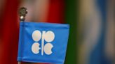 OPEC+ online meeting suggests "nothing to see here" - RBC By Investing.com